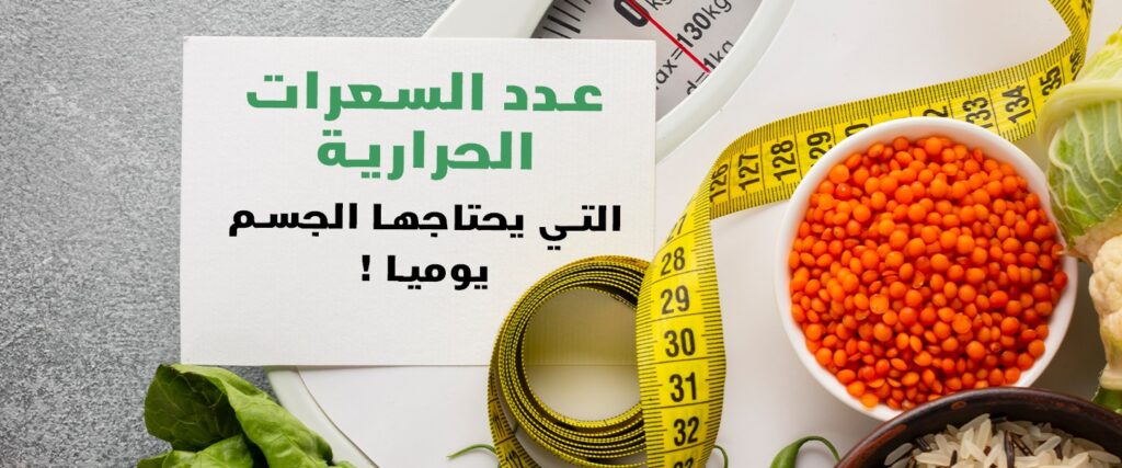 عدد السعرات الحرارية التي يحتاجها الجسم يوميا